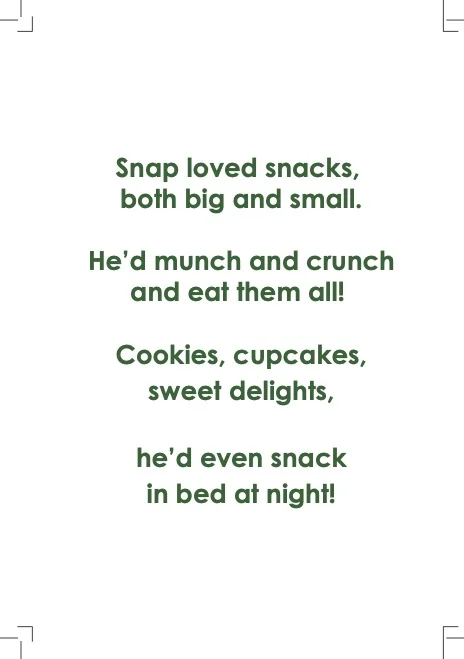 The Balanced Turtle – A Colorful Plate - Back Cover