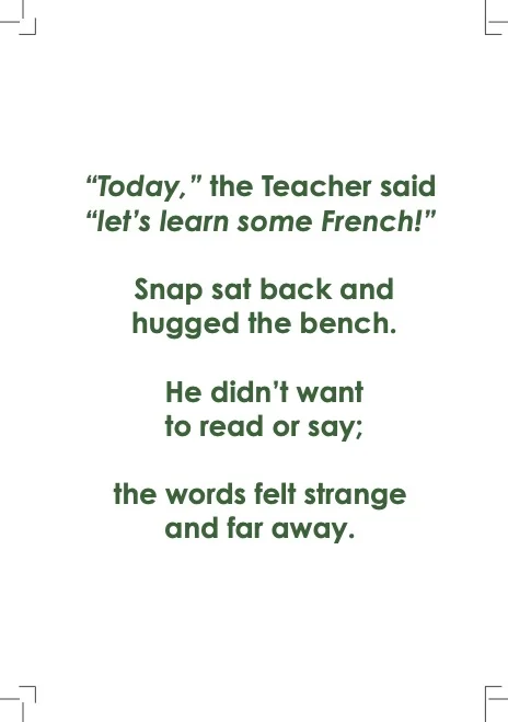 The Big-Hearted Turtle – Bonjour, Snap! - Back Cover
