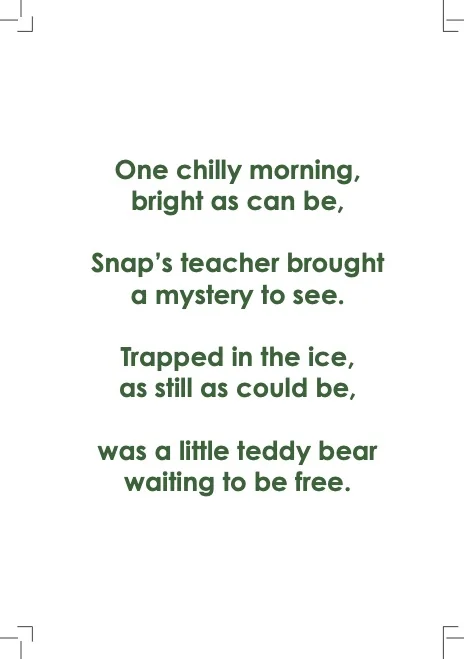 The Curious Turtle – The Frozen Toy - Back Cover