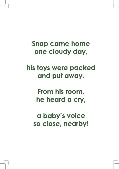 The Kind Turtle – A Helper At Home - Back Cover
