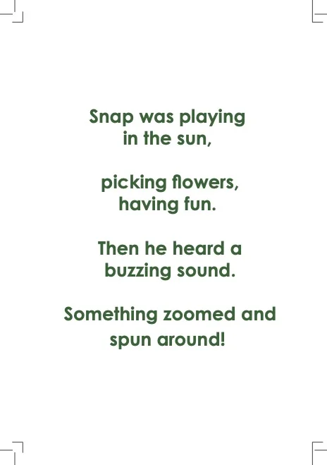The Curious Turtle - Heard A Buzz - Back Cover